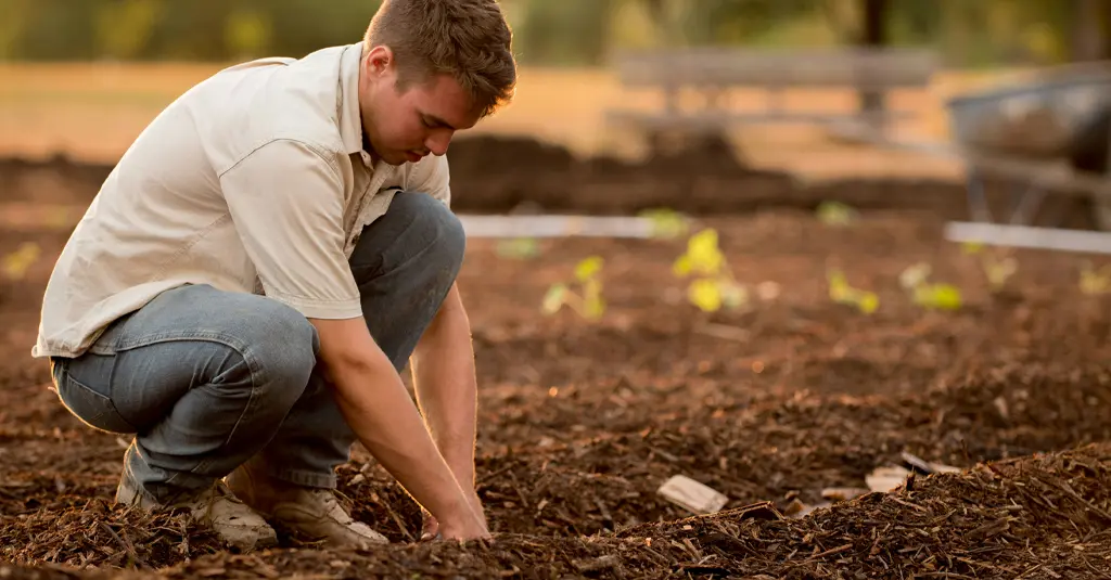 Jardinier en micro-entreprise, réalisant des travaux d’entretien